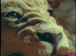 Captura de 'House on Chasey Lane' nº 56