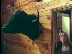 Captura de 'House on Chasey Lane' nº 63