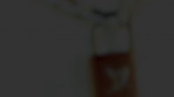 Captura de 'Jugs for Wiener Hugs: Lauren Phillips' nº 2
