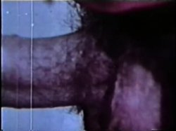 Captura de 'Peepshow Loops 409: 1970s (All Color)' nº 31