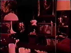 Captura de 'Peepshow Loops 409: 1970s (All Color)' nº 17
