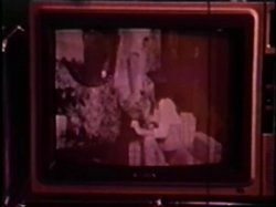 Captura de 'Peepshow Loops 409: 1970s (All Color)' nº 20