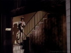 Captura de 'Urban Cowgirls' nº 113