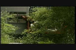 Captura de 'Sweetie Baby' nº 99