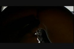 Captura de 'Captive' nº 62