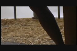 Captura de 'Captive' nº 64