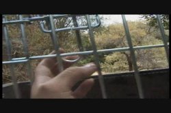 'Extreme Strictness In Morals' screenshot nº 2