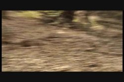 'Extreme Strictness In Morals' screenshot nº 4