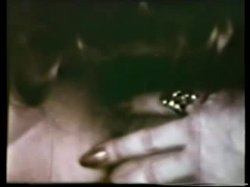 Captura de 'Peepshow Loops Lesbian 533: 1970's (All Color)' nº 18