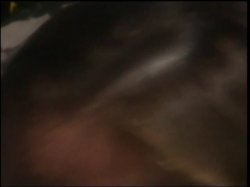 'Kinky Couples Sex Games' screenshot nº 104