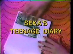 Captura de 'Seka's Diary' nº 12