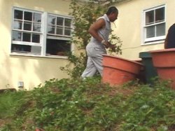 'Gangland 35' screenshot nº 2