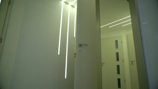 Scene 5