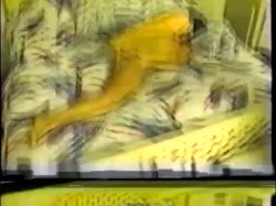 'Dirty Debutantes 213' screenshot nº 69
