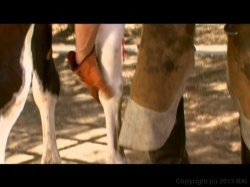 Captura de 'Playgirl: Our Little Secret' nº 27