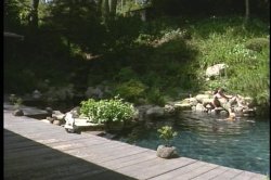 'Promises' screenshot nº 36