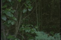 'Promises' screenshot nº 70