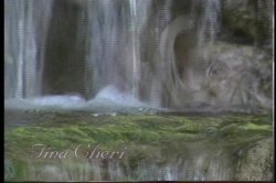 'Promises' screenshot nº 2