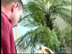 Captura de 'Carmen Luvana - Porn Star' nº 104
