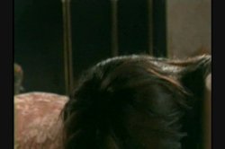 Captura de 'When Vivid Girls Do Orgies' nº 86