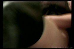 'American Cocksucking Championship 1' screenshot nº 6