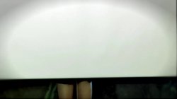 Captura de 'Anal Akrobaten' nº 2