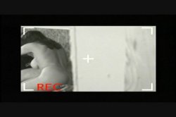 'Dr. Gonzo' screenshot nº 112