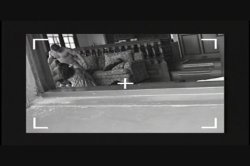 'Dr. Gonzo' screenshot nº 19