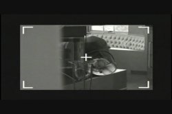 'Dr. Gonzo' screenshot nº 85