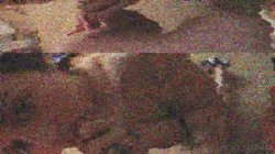 'True Home Made Amateur 6' screenshot nº 62