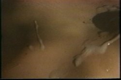 Captura de 'Golden Age of Porn, The: My First Facial #1' nº 135