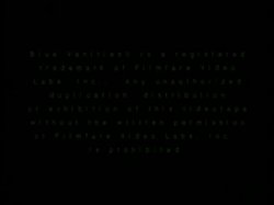 Captura de 'Peepshow Loops 319:'70s & '80s, AllColor' nº 1