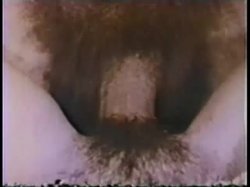 Captura de 'Peepshow Loops 319:'70s & '80s, AllColor' nº 105