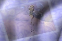Captura de 'P.O.V. Squirt Alert 4' nº 1
