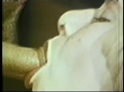 Captura de 'Peepshow Loops 318: '70s & '80s (All Color)' nº 27