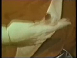Captura de 'Peepshow Loops 318: '70s & '80s (All Color)' nº 39