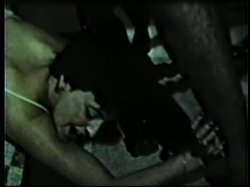 Captura de 'Peepshow Loops 318: '70s & '80s (All Color)' nº 56