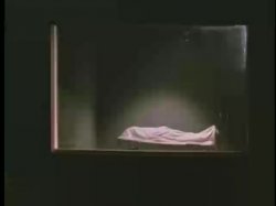 Captura de 'Perfect' nº 105