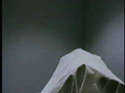 Captura de 'Perfect' nº 106