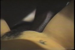 'Robin Head' screenshot nº 89
