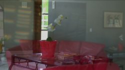 Captura de 'Sistas Love Black Cock' nº 20