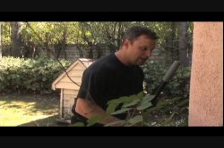 'I, Mother-Fucker' screenshot nº 25