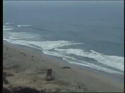 Captura de 'Beach Bunnies With Big Brown Eyes 6' nº 15