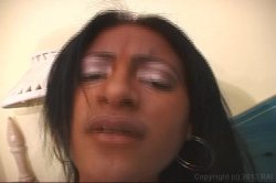 Captura de 'Hot Latin Pussy Adventures 17' nº 54