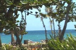 Captura de 'Hot Latin Pussy Adventures 17' nº 1