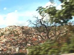 Captura de 'Hot Latin Pussy Adventures 19' nº 3