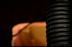 'Pretty Young Tramps' screenshot nº 9