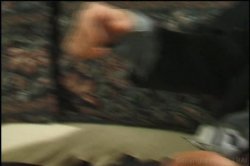 Captura de 'She Male Debutantes' nº 81