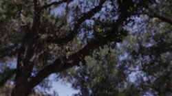 Captura de 'Final Girl' nº 3