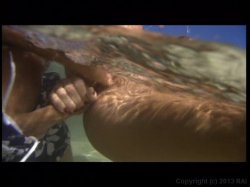 'Tropical Bitches' screenshot nº 6